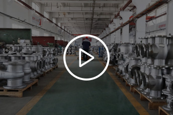 player video