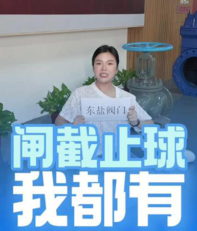  买阀门找东盐 闸截止球我都有